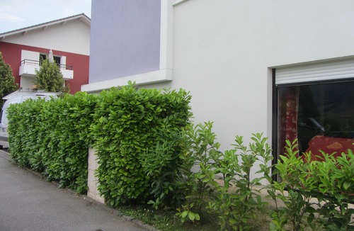 Faverges-Seythenex Apartment | The calm in the mountains.
