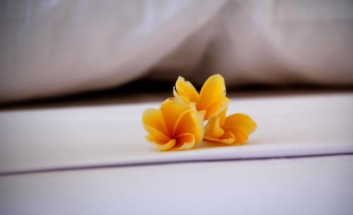 Batu Bolong Resort | The Calmtree Bungalows