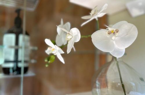 Arthur's Point Bed & Breakfast | The Canyons B&B