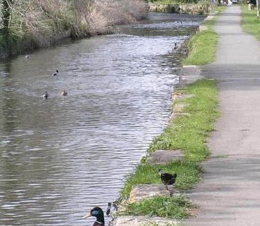 Dorchester Bed & Breakfast | The Casterbridge