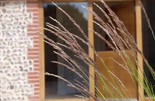 Waterlooville Apartment | The Cattleyard