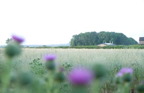 Waterlooville Apartment | The Cattleyard