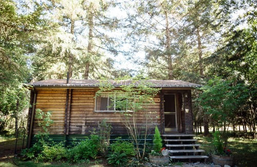 Packwood Cabin | The Cedar Cabin on 8 acres