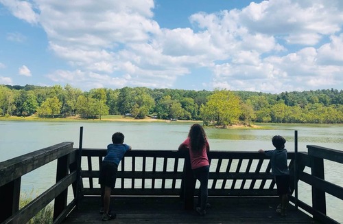 Piedmont Cabin | The Cedar Cove Cottage