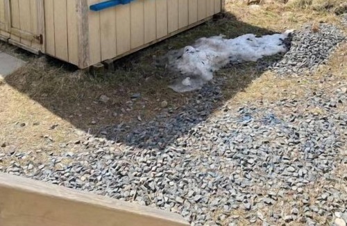 Inverness House | The Ceilidh Corner