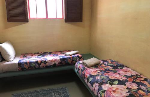 Whangarei Hostel | The Cell Block Backpackers