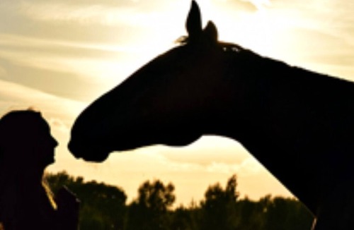 Pentrefelin Cottage | The Cennen Pod