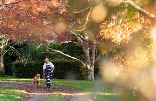 Tararua Forest Park Bed & Breakfast | The Chefs Cottage