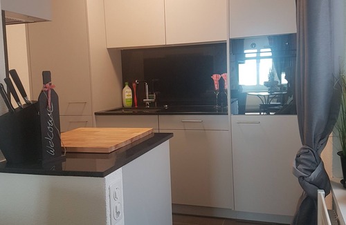 Enge Apartment | the city accommodation at Brandschenkestr corner Bederstrasse