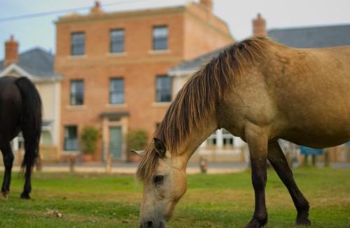 New Forest District Bed & Breakfast | The CLOUD Brockenhurst B&B