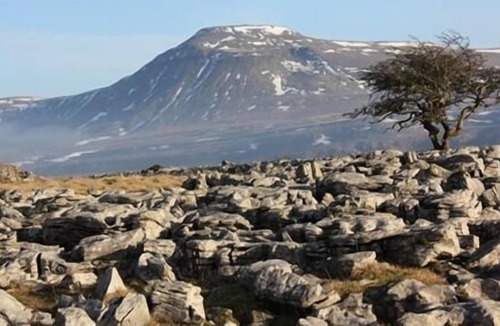 High Bentham Hotel | The Coach House