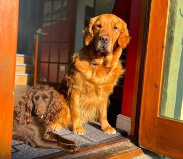 Neyland House | The Coach House