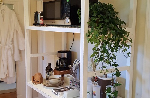 Zilker House | The Collier Street Cottage Guest Suite in the heart of Austin!