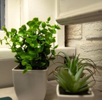 Hastings House | The Comfy Cottage