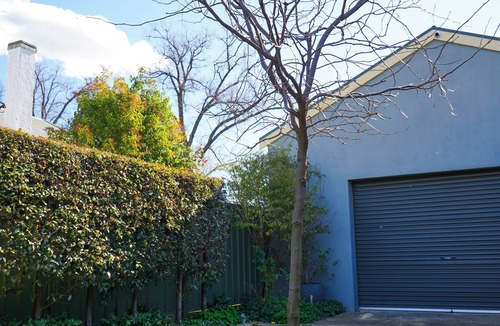 Bendigo House | The Conductor's Quarters