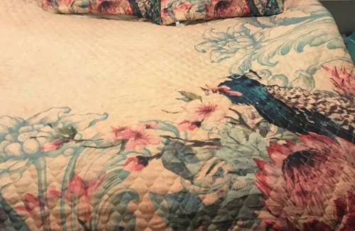 Middleburg Cabin | The Coop Inn