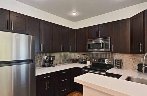 Belltown Condo | The Cornet Nest at Belltown - 99 Walkscore