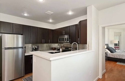 Belltown Condo | The Cornet Nest at Belltown - 99 Walkscore
