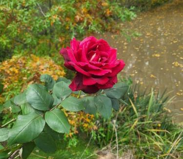 Burradoo House | The Cottage Burradoo