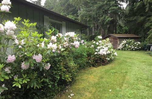 Anderson Island House | The cottage by the lake