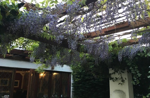 Dunstan Hotel | The Cottage Inn Hotel