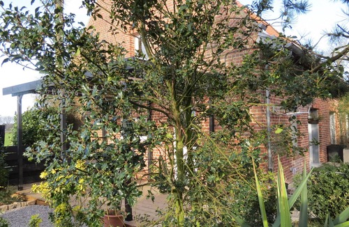 Nieppe House | the cottage millers