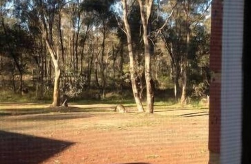 Strathfieldsaye Cottage | The cottage - Strathfieldsaye Bendigo