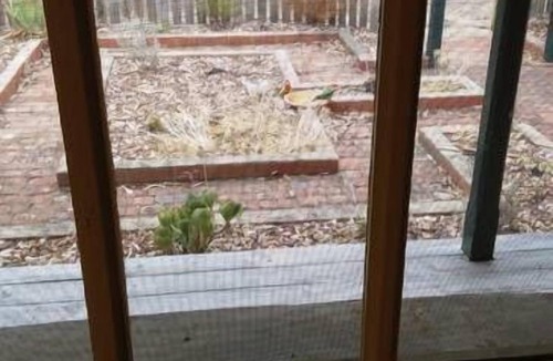 Strathfieldsaye Cottage | The cottage - Strathfieldsaye Bendigo