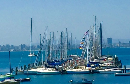 Williamstown Apartment | The Cottage, Studio Accommodation