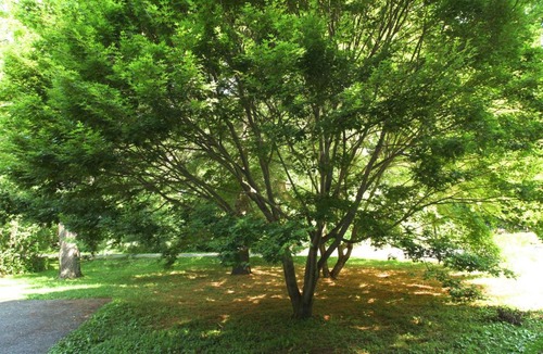 Stockbridge Bed & Breakfast | The Cottage