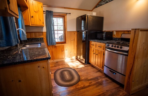 Babbitt Cabin | The Cougar Cabin at Timber Bay