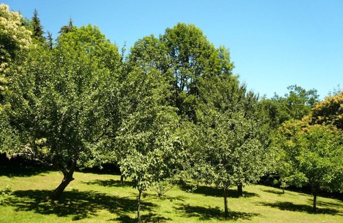Castelnau-de-Brassac Ski Chalet | The country caravan, a paradise for nature lovers