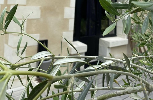 Fondettes Bed & Breakfast | The countryside just outside Tours