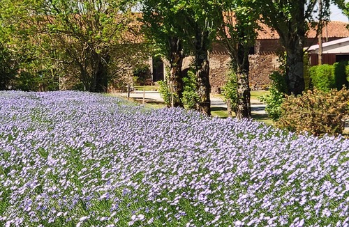 Monsireigne Cottage | The Courtyard Cottage Gite 25kms Parc Puy du Fou
