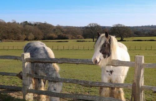 Sedlescombe House | The Cowshed