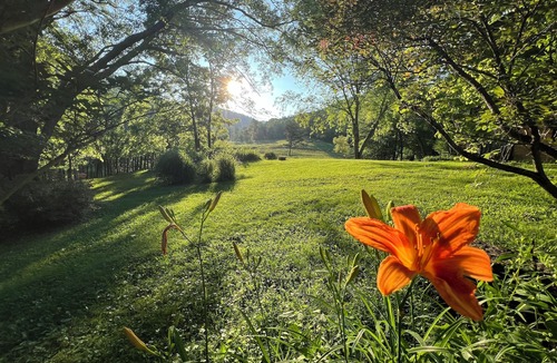 Irvine Cabin | The Cozy Cabin – Historic B&B Chestnut Log – Breakfast Included – Award-Winning