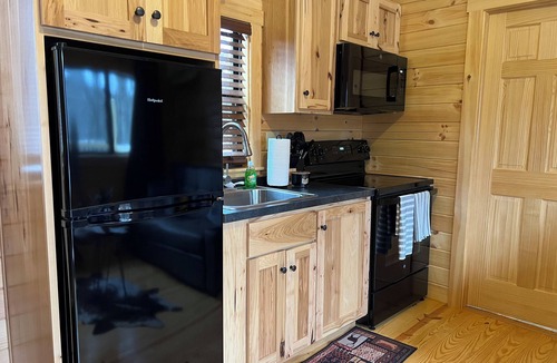 Edray Cabin | The Cozy Cabin: Mountain Escape at Snowshoe, WV - Brand New!