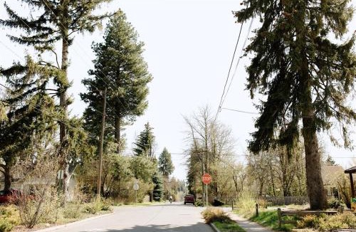 Moscow Apartment | The Cozy Cottage