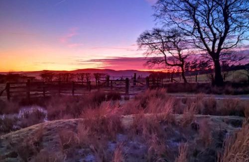 Tirabad Apartment | the cwch