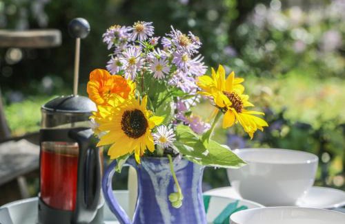 Morwellham House | The Daffodil Shed