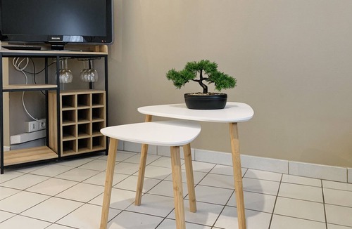 Quartier Exposition-Bajatiere Apartment | The dancer's dressing room 🩰 #CS