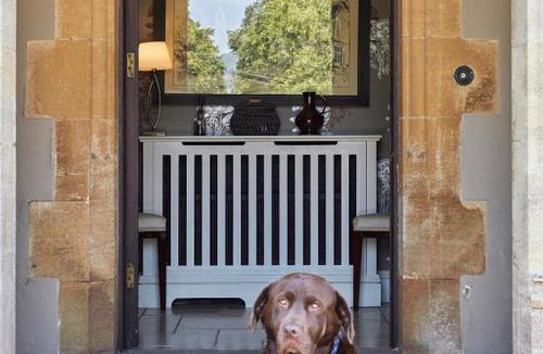 Wraxall Bed & Breakfast | The Den at Backwell Down