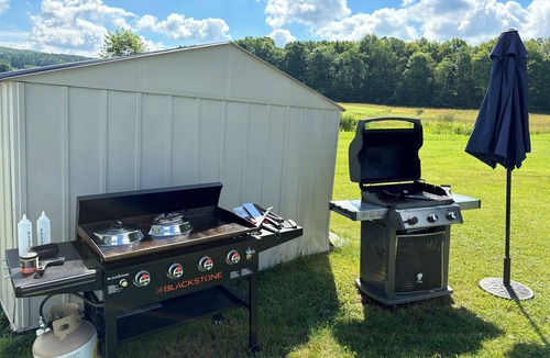 Ellicottville House | The Devereaux House in Ellicottville NY