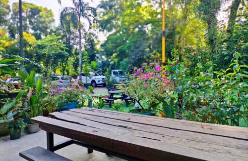 Kuching Cabin | The Doctor's Stay