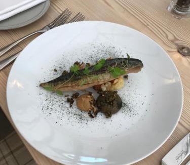 Wingham Hotel | The Dog At Wingham