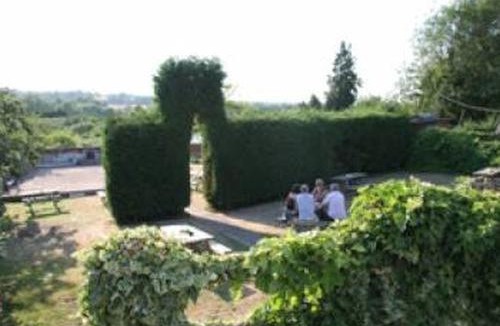 Halstead Hotel | The Dog Inn