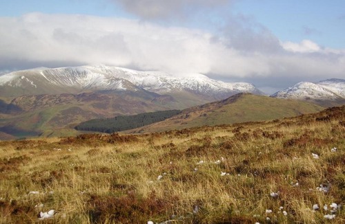 Bryn-crug Bed & Breakfast | The Dolgoch