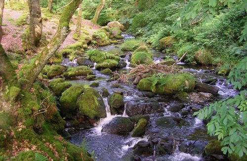 Bryn-crug Bed & Breakfast | The Dolgoch