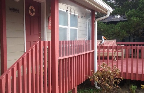 Bayshore House | The Dolphine Cottage!