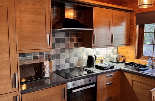 East Huntspill Cabin | The Duckling Lodge (private hot tub)